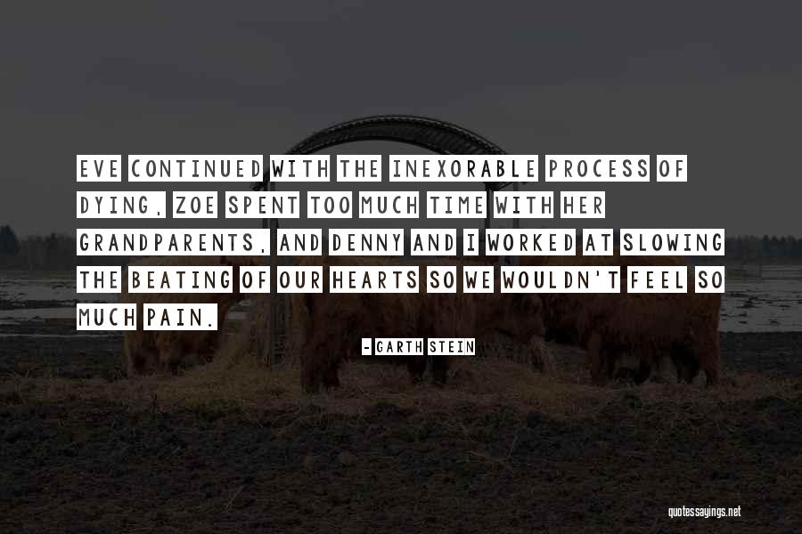 Too Much Sad Quotes By Garth Stein Too Much Sad Quotes By Garth Stein