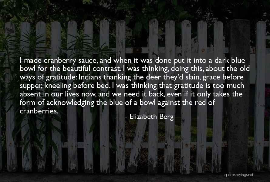 Too Much Sauce Quotes By Elizabeth Berg Too Much Sauce Quotes By Elizabeth Berg