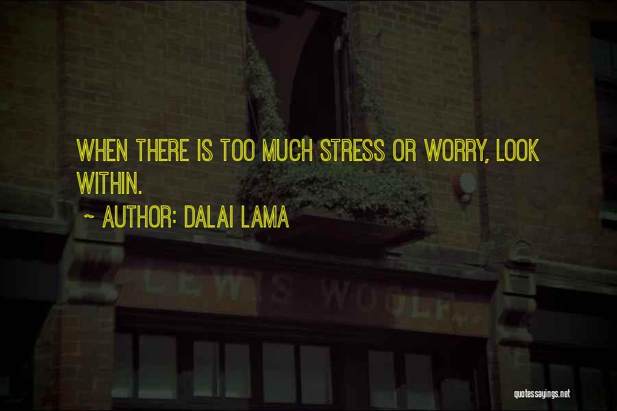 Too Much Stress Quotes By Dalai Lama
