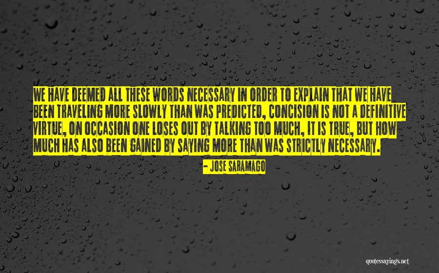 Too Much Talking Quotes By Jose Saramago