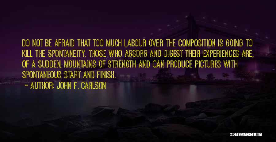 Too Much To Do Quotes By John F. Carlson