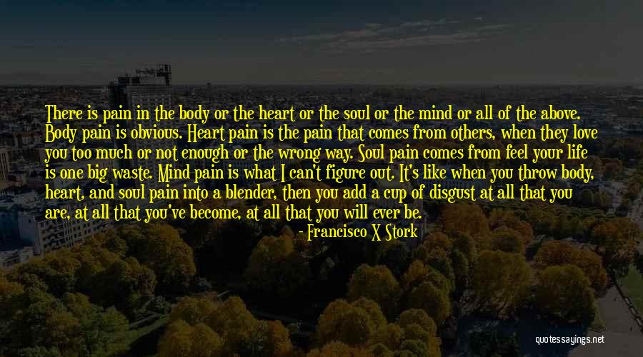 Too Obvious Quotes By Francisco X Stork Too Obvious Quotes By Francisco X Stork