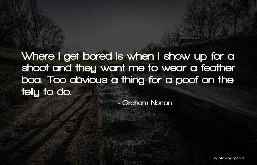 Too Obvious Quotes By Graham Norton Too Obvious Quotes By Graham Norton