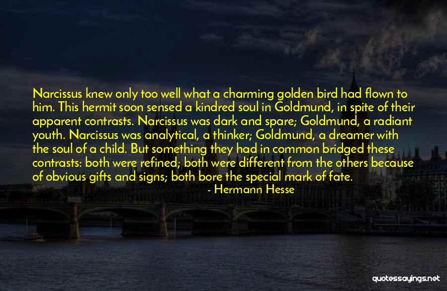 Too Obvious Quotes By Hermann Hesse Too Obvious Quotes By Hermann Hesse