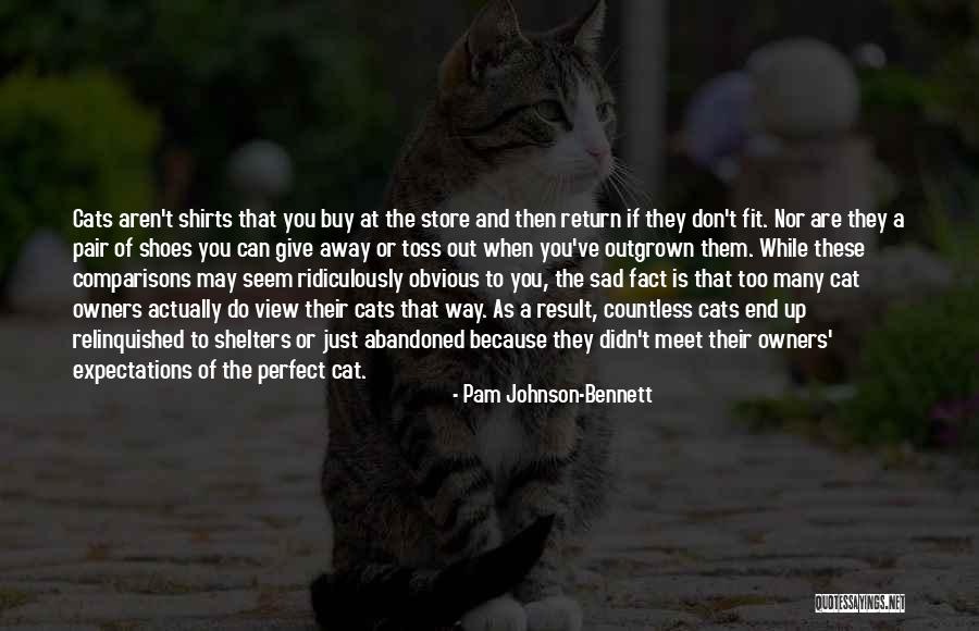 Too Obvious Quotes By Pam Johnson-Bennett Too Obvious Quotes By Pam Johnson-Bennett