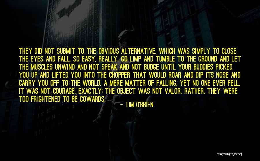 Too Obvious Quotes By Tim O'Brien Too Obvious Quotes By Tim O'Brien