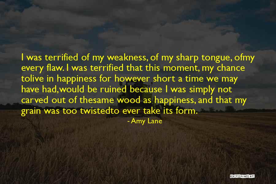 Too Short Quotes By Amy Lane
