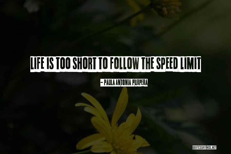 Too Short Quotes By Paula Antonia Purpera