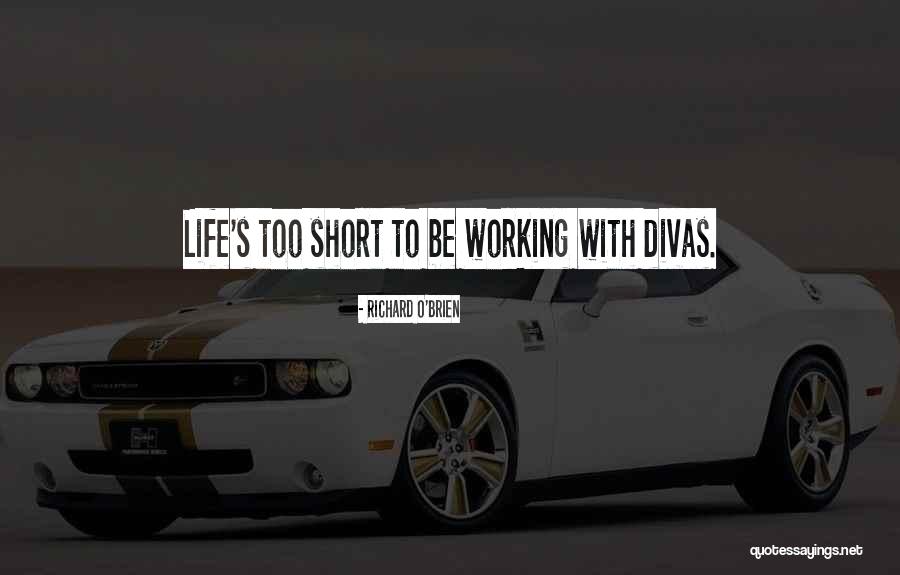 Too Short Quotes By Richard O'Brien