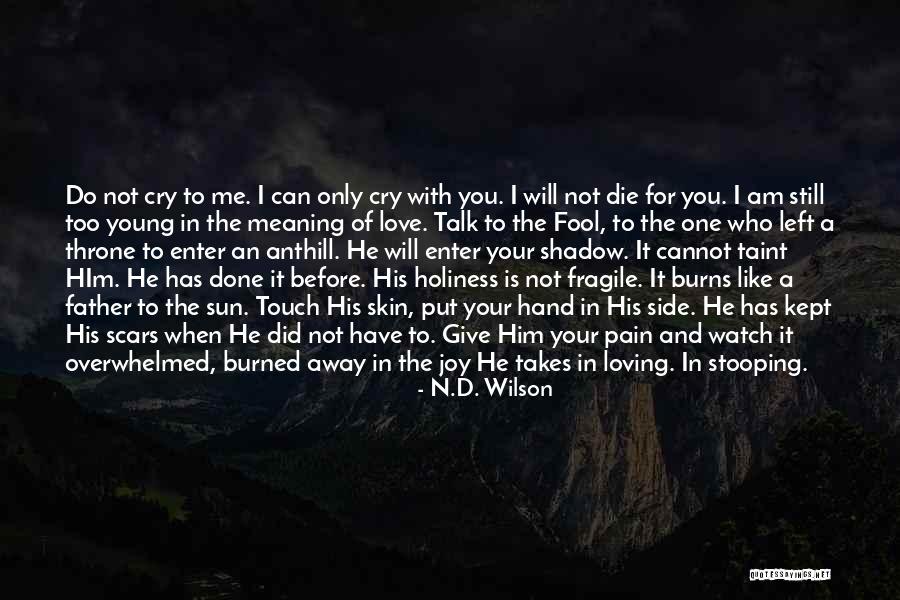 Too Young For Him Quotes By N.D. Wilson Too Young For Him Quotes By N.D. Wilson