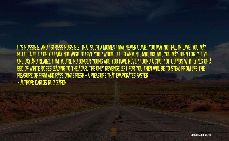 Too Young To Stress Quotes By Carlos Ruiz Zafon