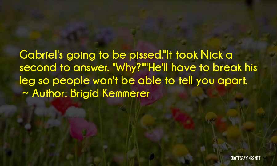 Took A Break Quotes By Brigid Kemmerer