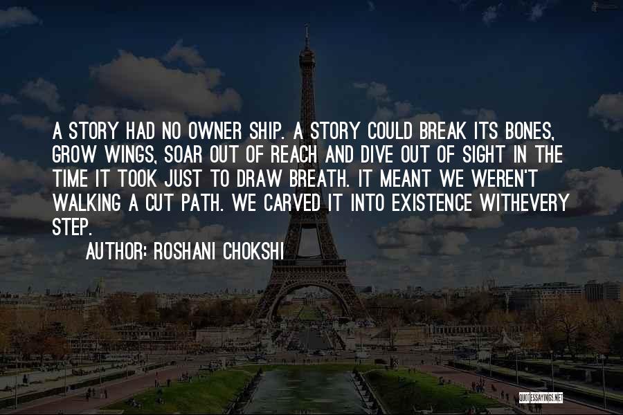 Took A Break Quotes By Roshani Chokshi