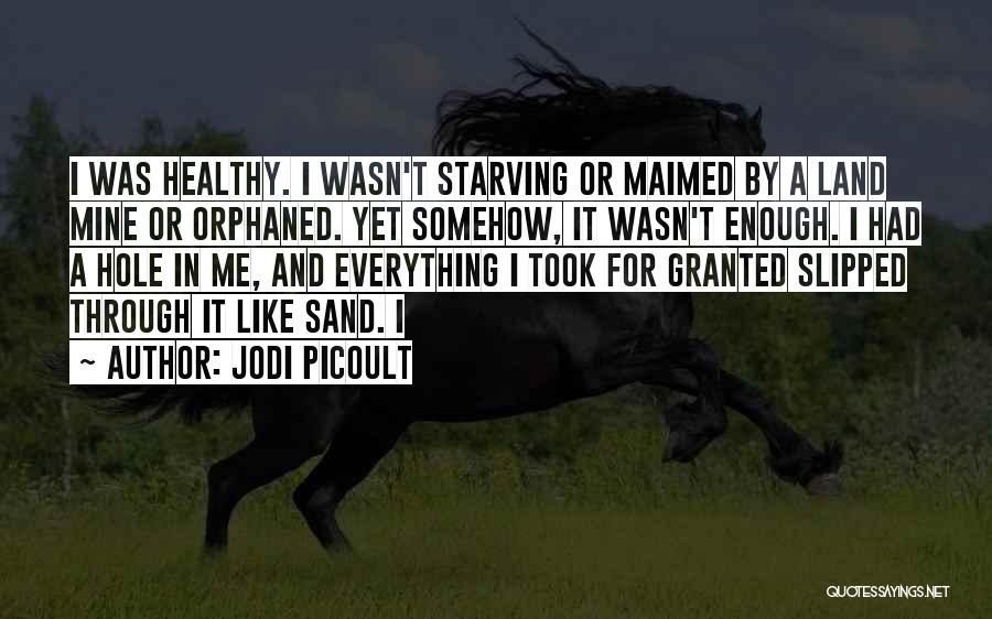 Took For Granted Quotes By Jodi Picoult