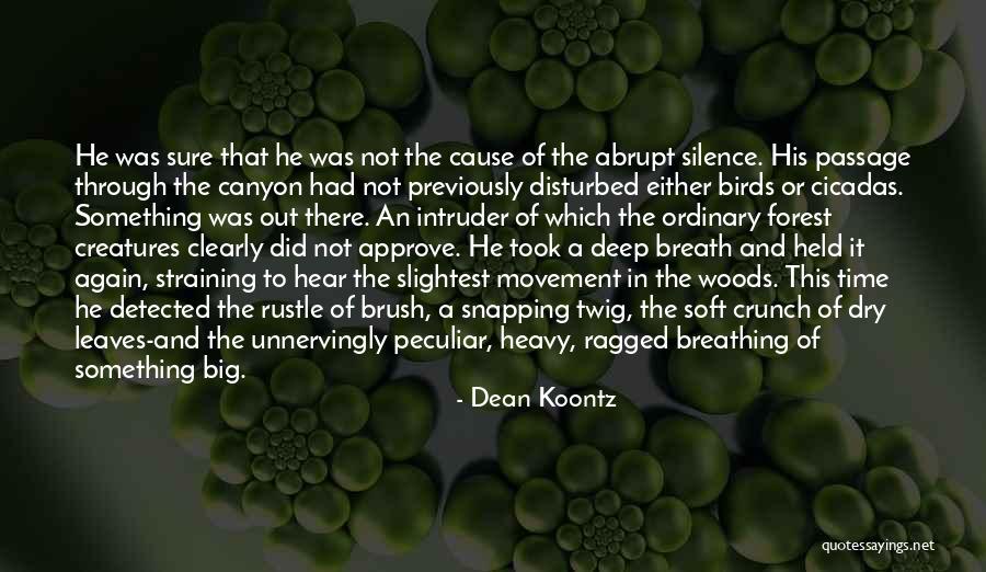 Took Took Bird Quotes By Dean Koontz Took Took Bird Quotes By Dean Koontz