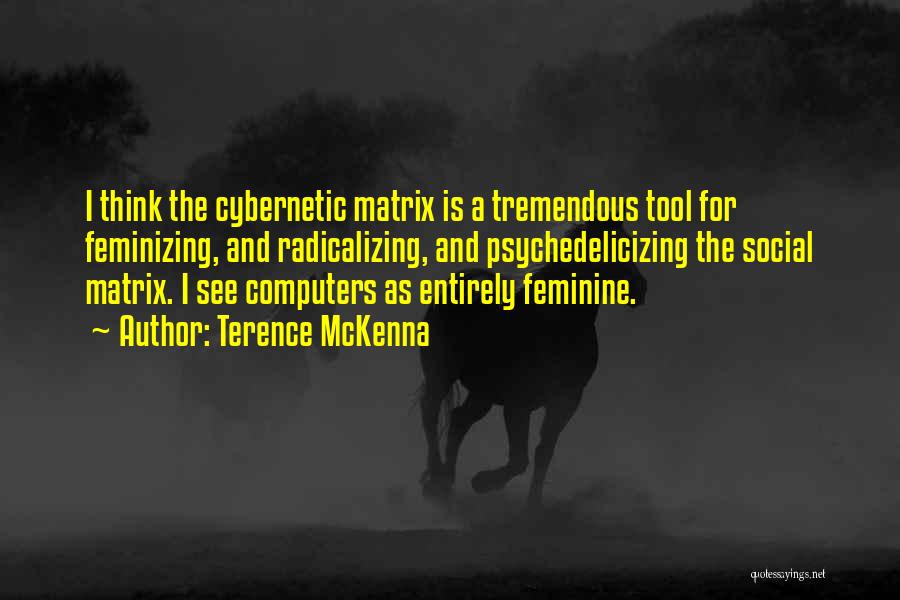 Tools My Computer Quotes By Terence McKenna