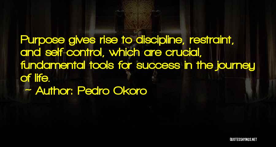 Tools Of Success Quotes By Pedro Okoro