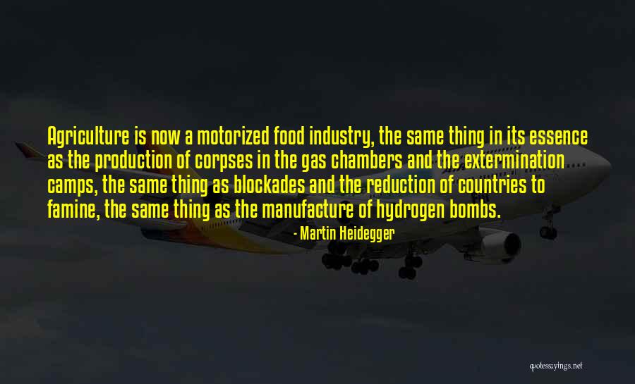 Toomas Nipernaadi Quotes By Martin Heidegger Toomas Nipernaadi Quotes By Martin Heidegger
