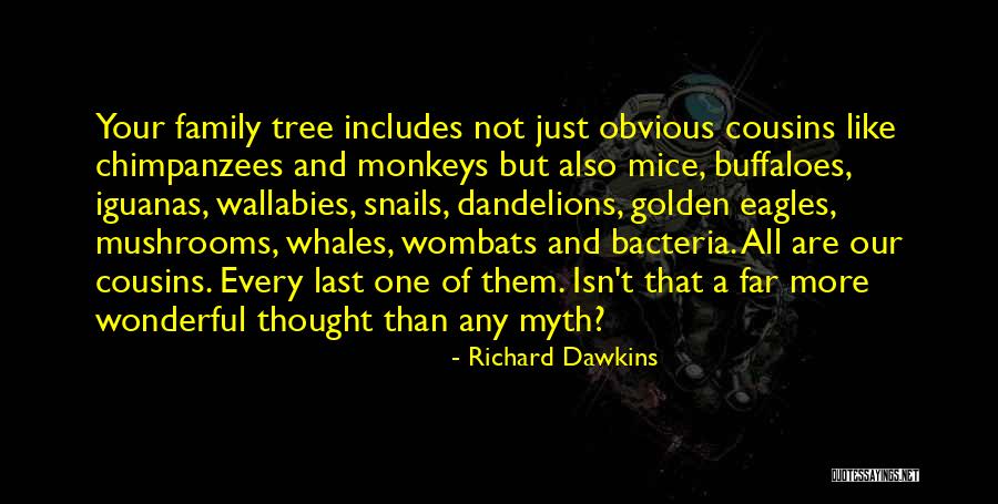 Toora Irish Lullaby Quotes By Richard Dawkins Toora Irish Lullaby Quotes By Richard Dawkins