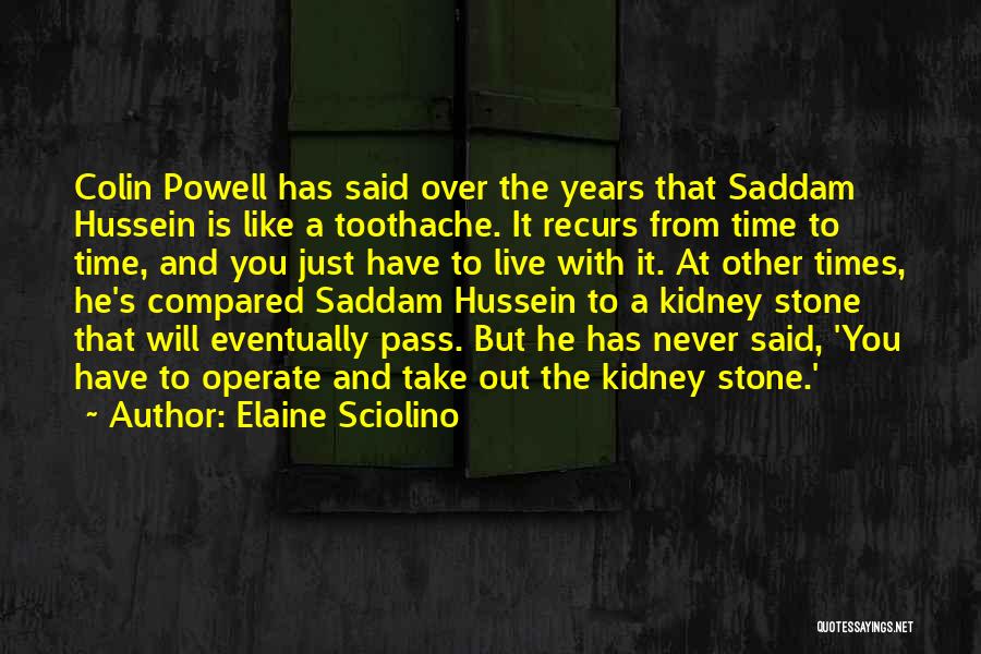 Toothache Quotes By Elaine Sciolino