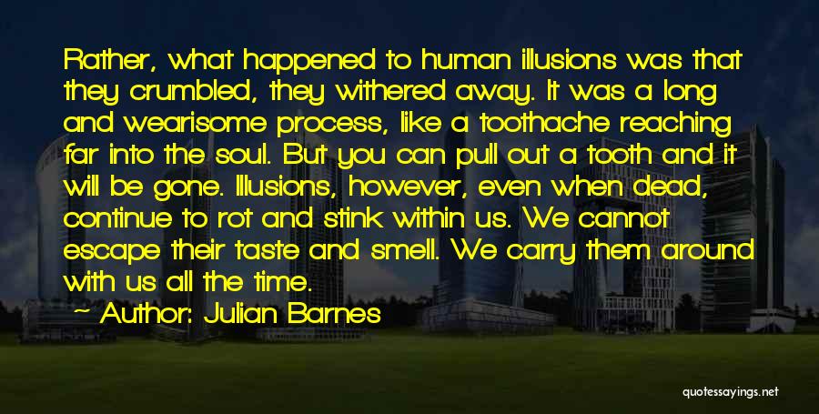 Toothache Quotes By Julian Barnes