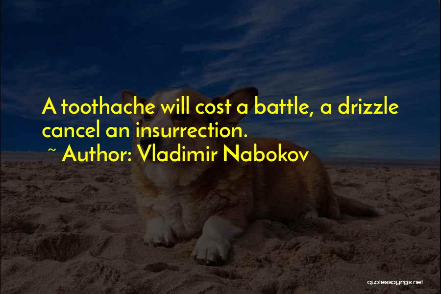 Toothache Quotes By Vladimir Nabokov