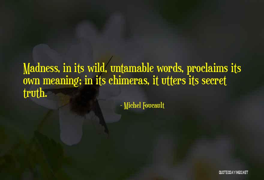 Tootle Quotes By Michel Foucault Tootle Quotes By Michel Foucault