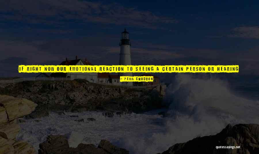 Top 10 History Quotes By Pema Chodron Top 10 History Quotes By Pema Chodron