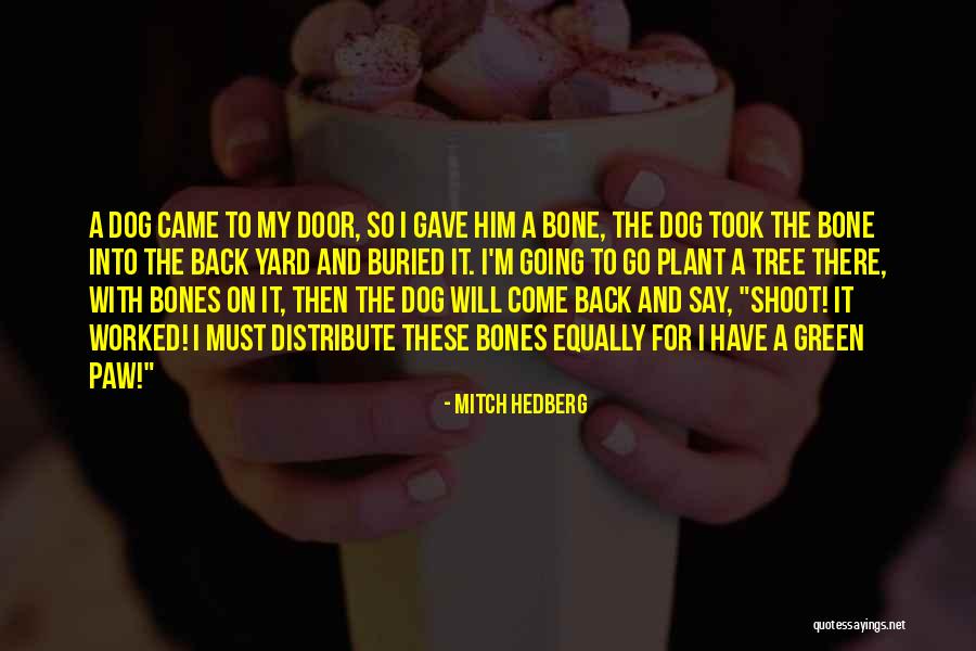 Top 20 Inspirational Movie Quotes By Mitch Hedberg Top 20 Inspirational Movie Quotes By Mitch Hedberg