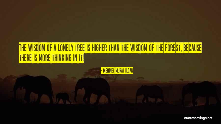 Top 20 William Congreve Quotes By Mehmet Murat Ildan Top 20 William Congreve Quotes By Mehmet Murat Ildan