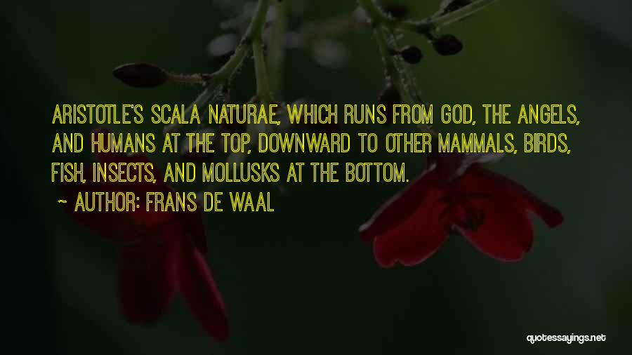 Top 5 God Quotes By Frans De Waal