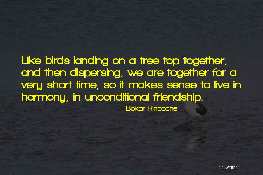 Top 5 Short Quotes By Bokar Rinpoche Top 5 Short Quotes By Bokar Rinpoche