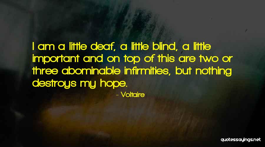 Top Attitude Quotes By Voltaire Top Attitude Quotes By Voltaire