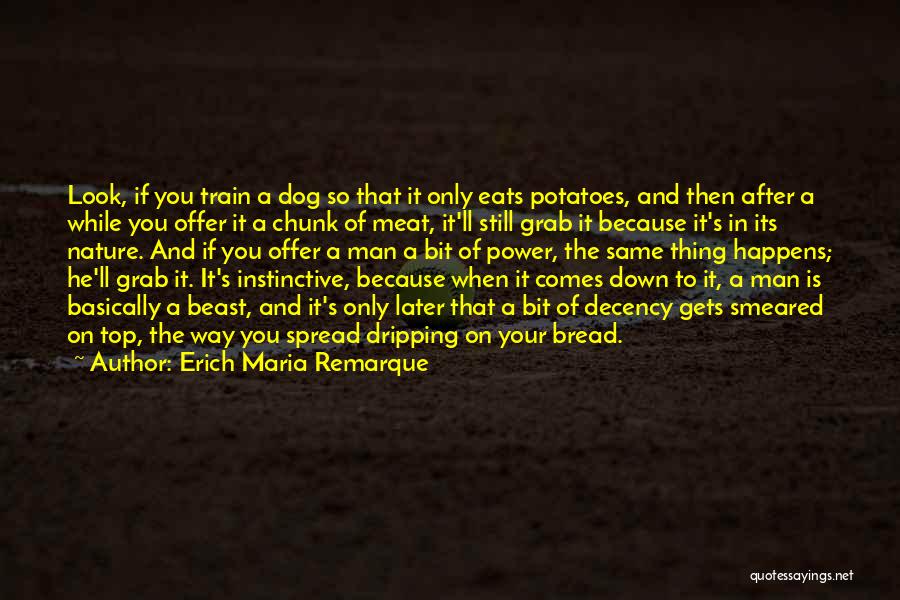 Top Dog Quotes By Erich Maria Remarque