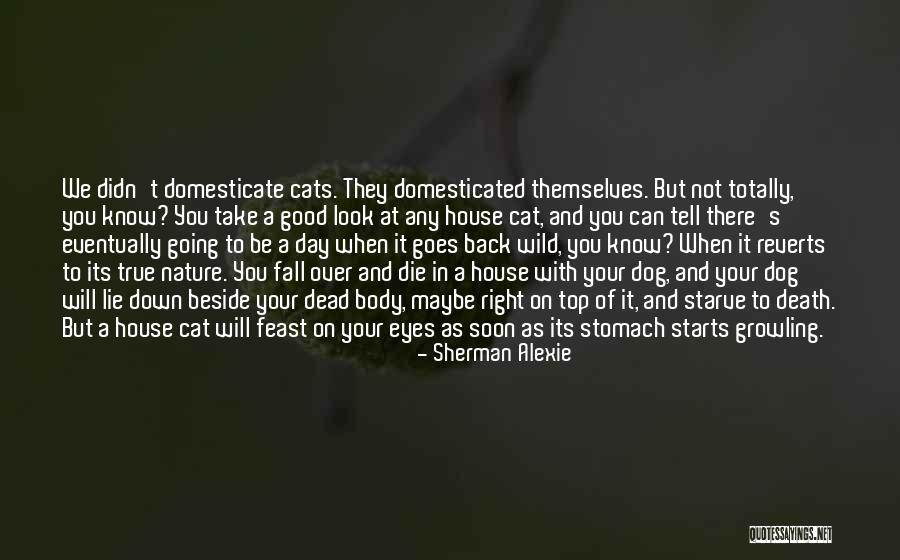 Top Dog Quotes By Sherman Alexie