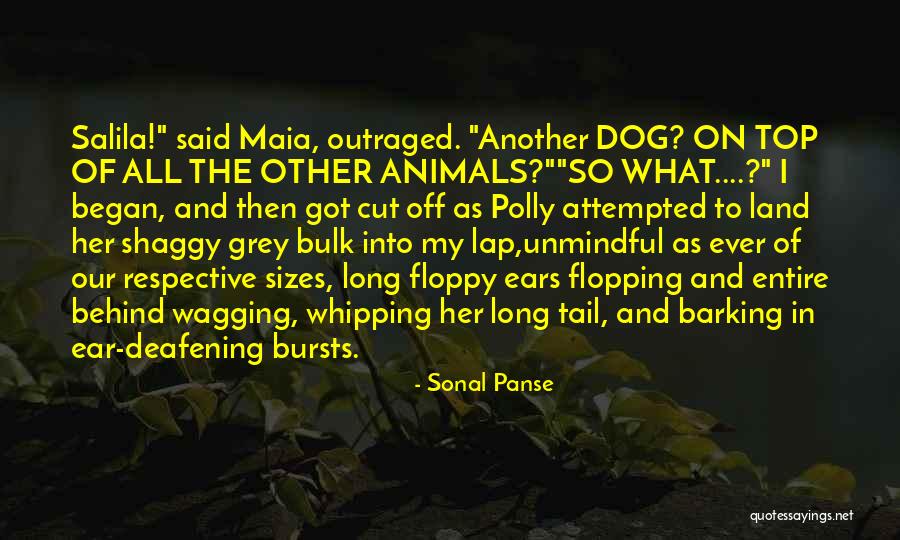 Top Dog Quotes By Sonal Panse Top Dog Quotes By Sonal Panse