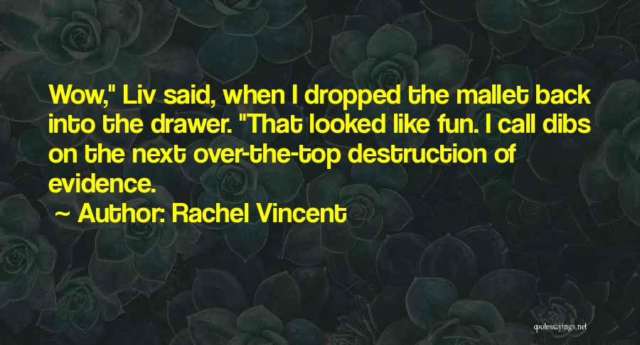 Top Drawer Quotes By Rachel Vincent