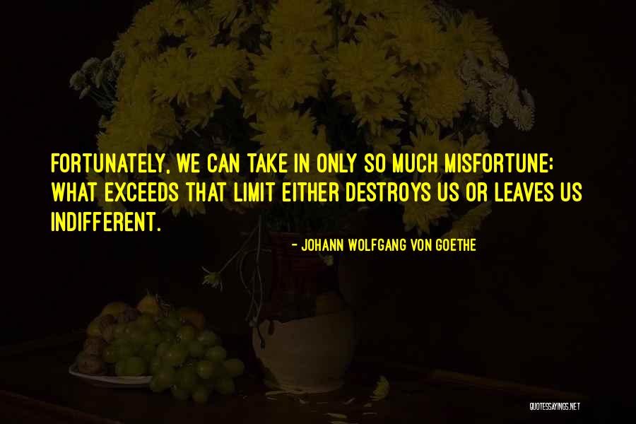 Top Forrest Gump Quotes By Johann Wolfgang Von Goethe Top Forrest Gump Quotes By Johann Wolfgang Von Goethe