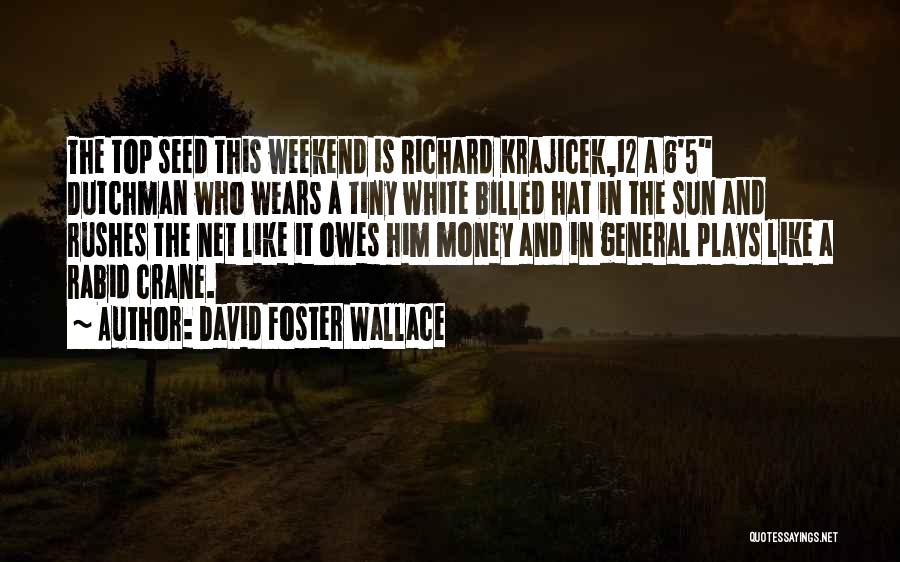 Top Hat Quotes By David Foster Wallace