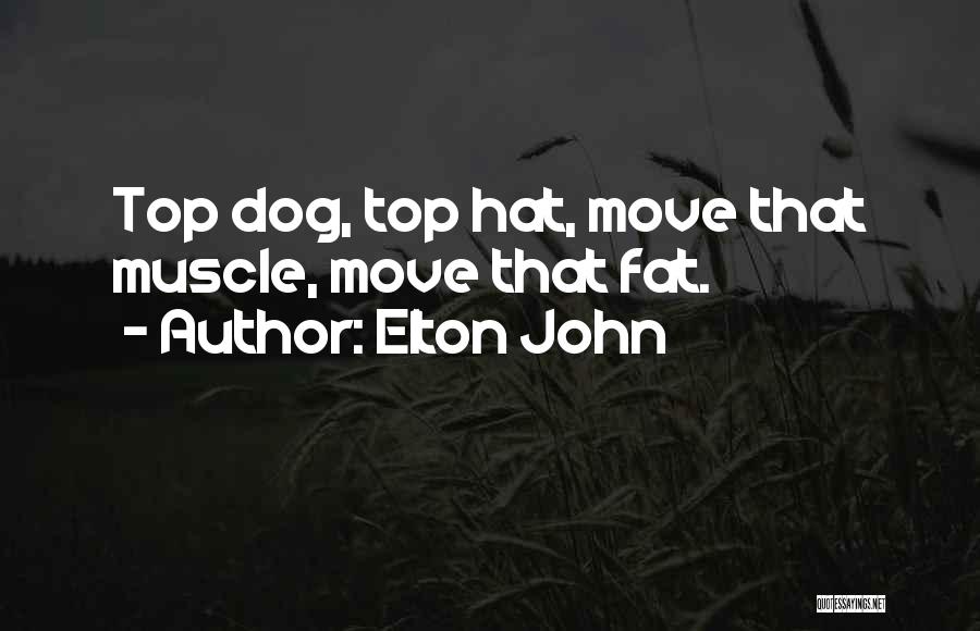 Top Hat Quotes By Elton John