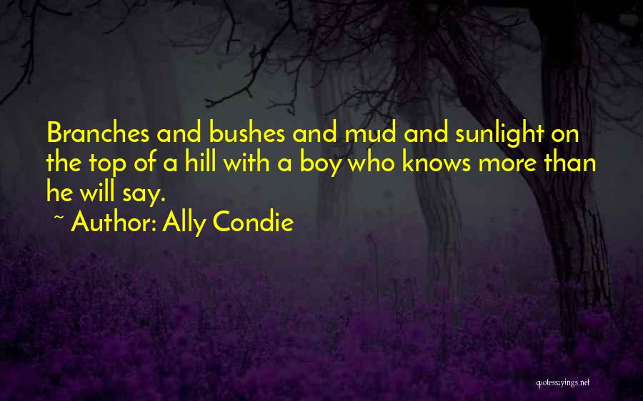 Top Hill Quotes By Ally Condie