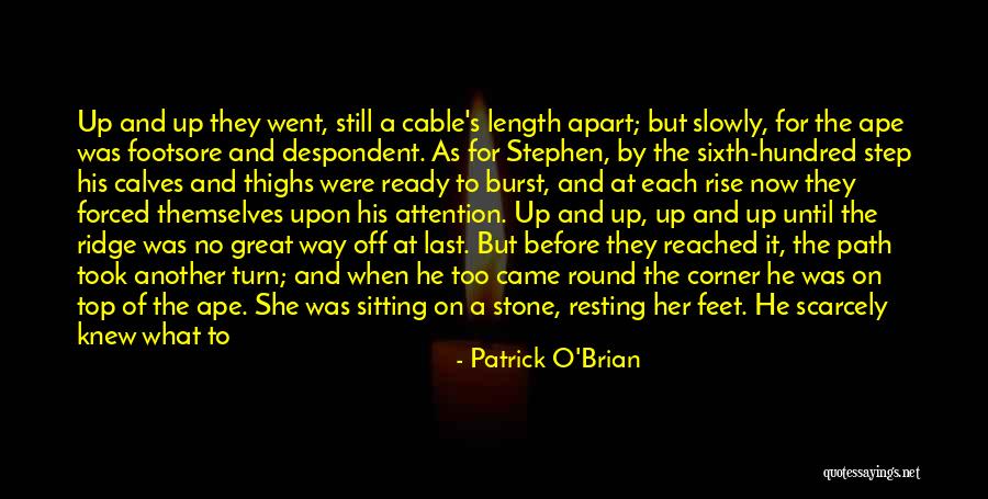 Top Hundred Best Quotes By Patrick O'Brian