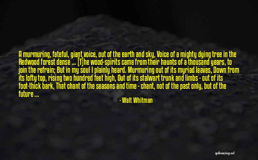 Top Hundred Best Quotes By Walt Whitman