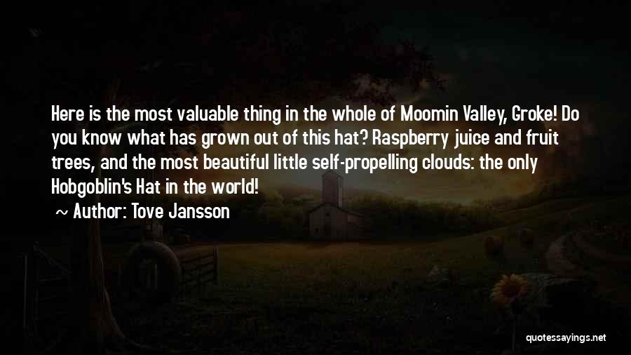 Top Most Beautiful Quotes By Tove Jansson