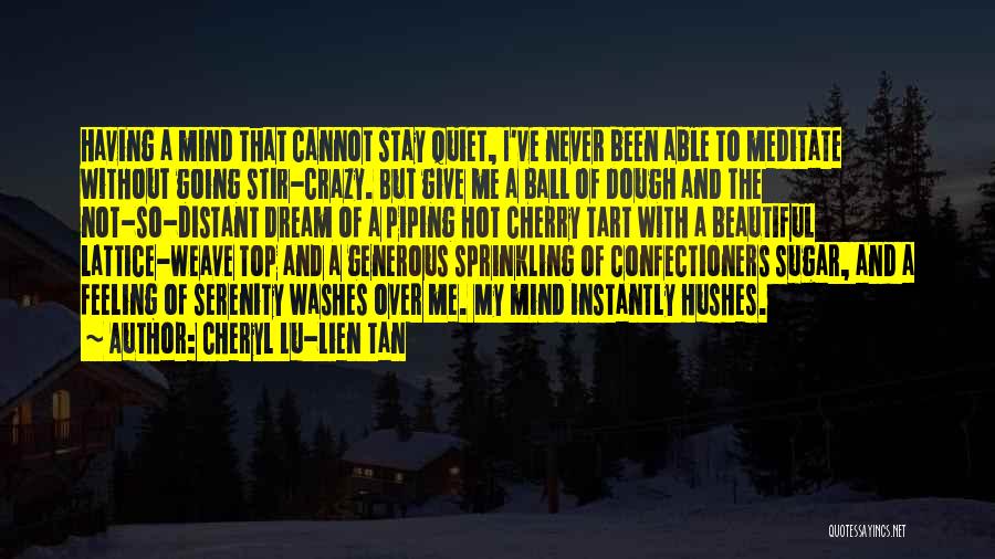 Top Never Give Up Quotes By Cheryl Lu-Lien Tan