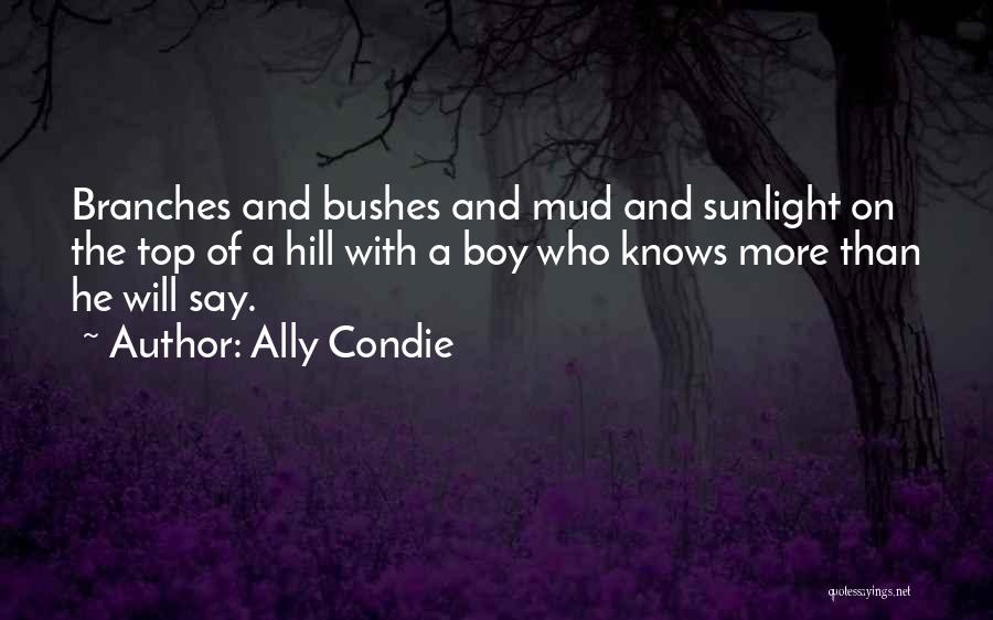 Top Of Hill Quotes By Ally Condie