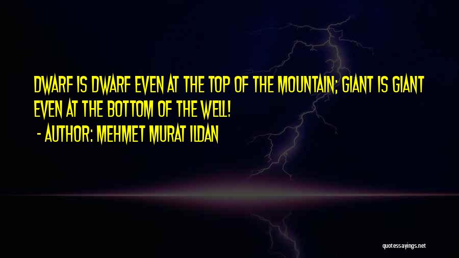 Top Of Mountain Quotes By Mehmet Murat Ildan