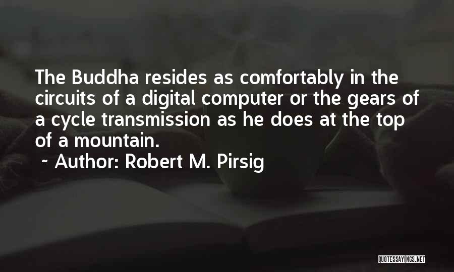 Top Of Mountain Quotes By Robert M. Pirsig