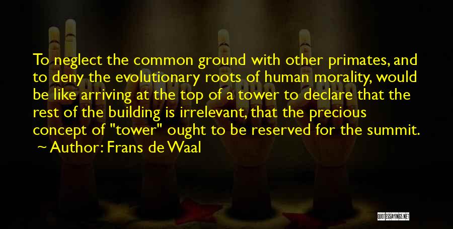 Top Of The Building Quotes By Frans De Waal