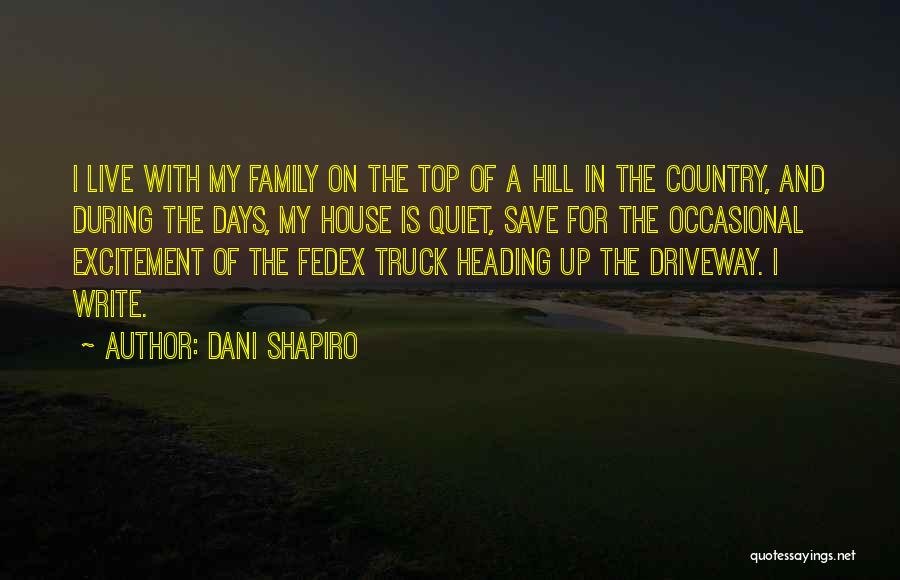 Top Of The Hill Quotes By Dani Shapiro